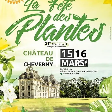 Apartment 85 L Ideal , Quiet Charm In *
