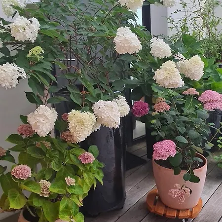 85 L Ideal , Quiet Charm In Apartment Tours