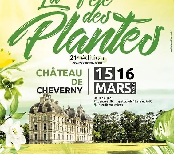 Lägenhet 85 L Ideal , Quiet Charm In *