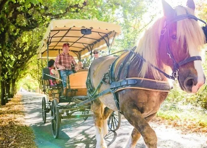 85 L Ideal , Quiet Charm In Lejlighed Tours