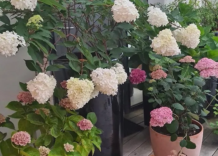 85 L Ideal , Quiet Charm In Lejlighed Tours