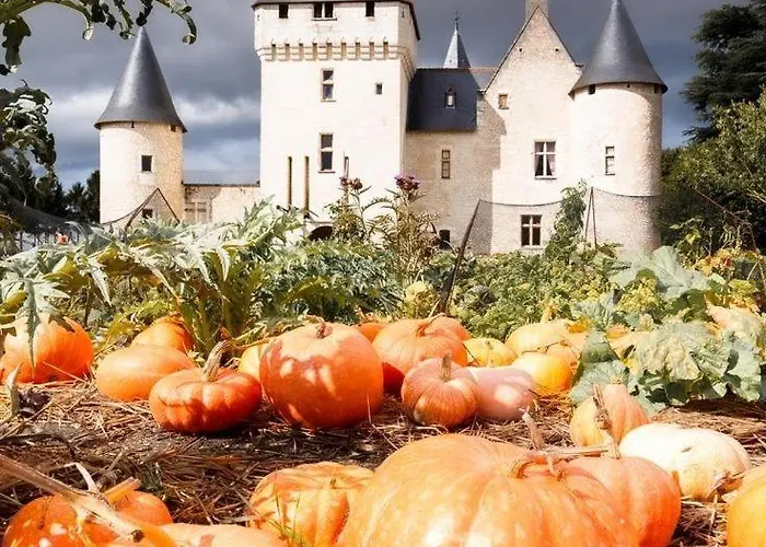 85 L Ideal , Quiet Charm In Lejlighed