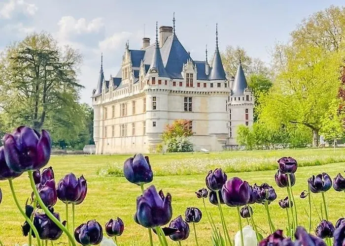 85 L Ideal , Quiet Charm In